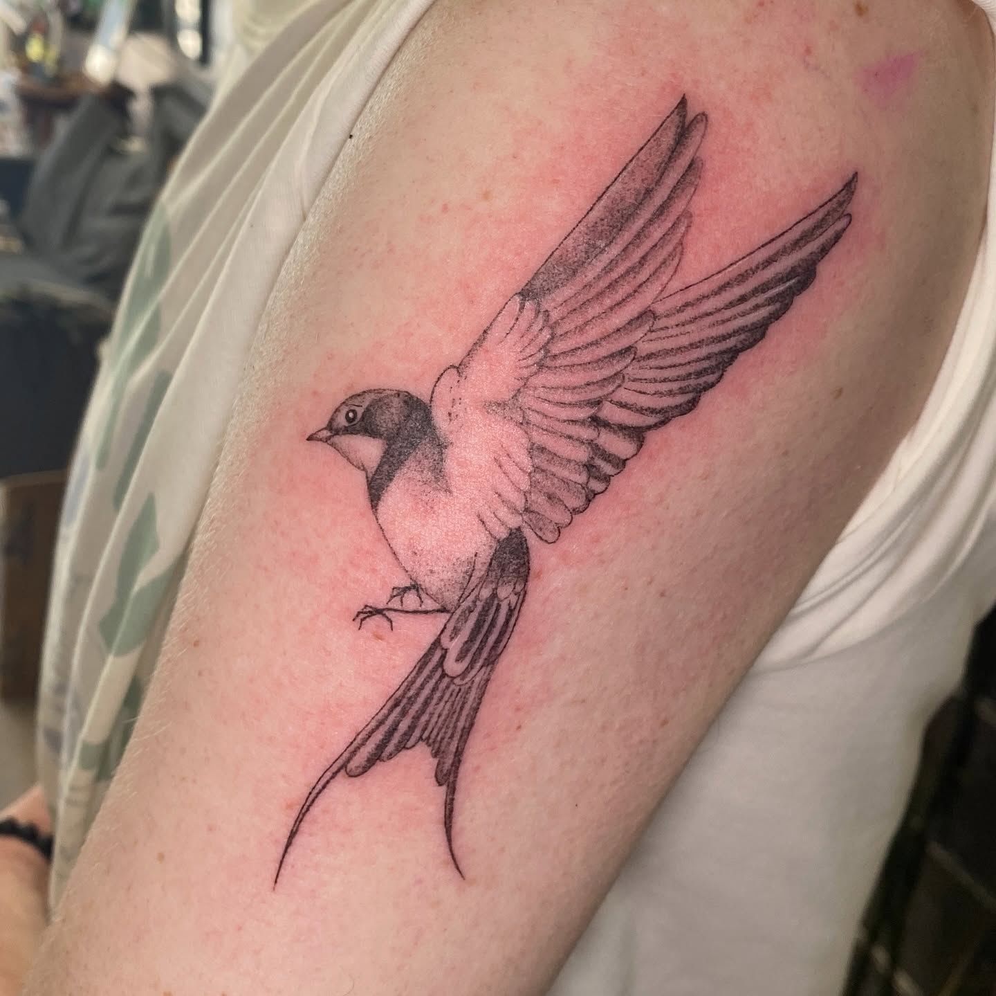 Tatouage fin d’une hirondelle en mouvement